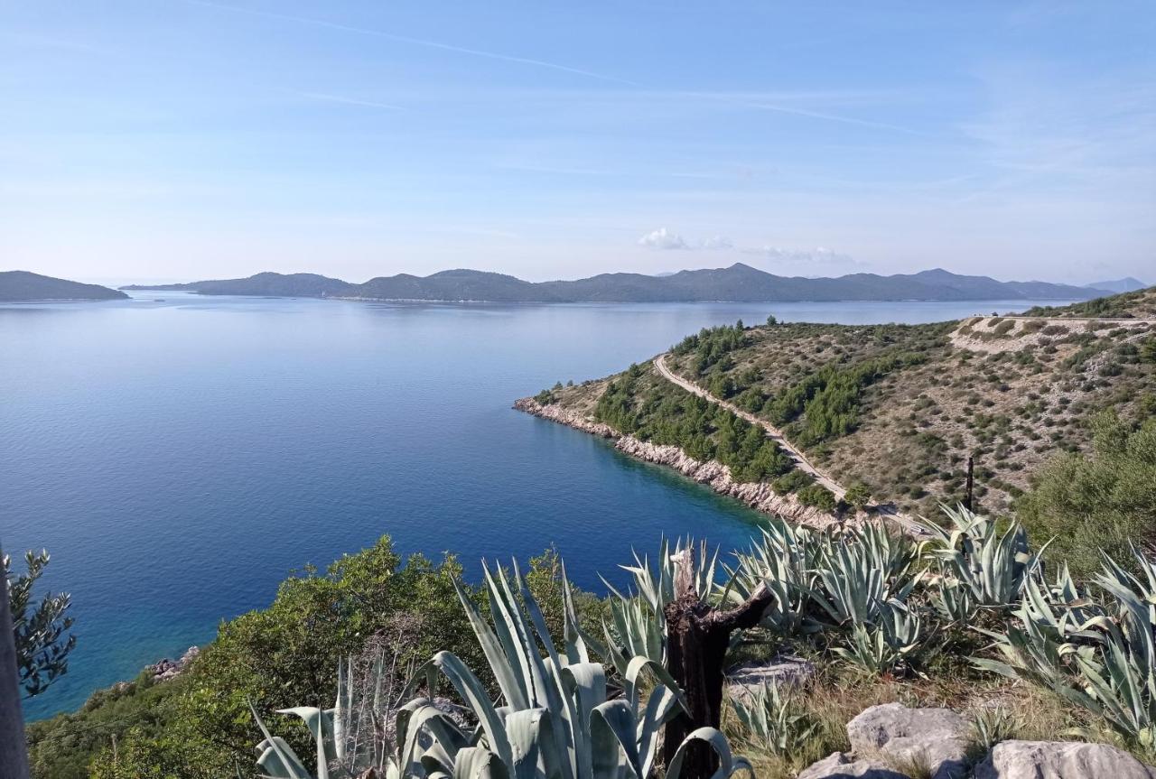 Apartment Lucija With Sea View Dubrovnik Kültér fotó